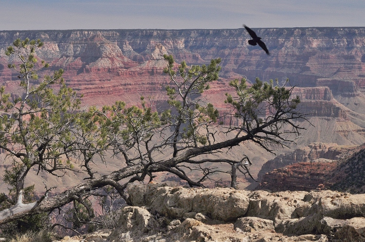 Grand Canyon south rim